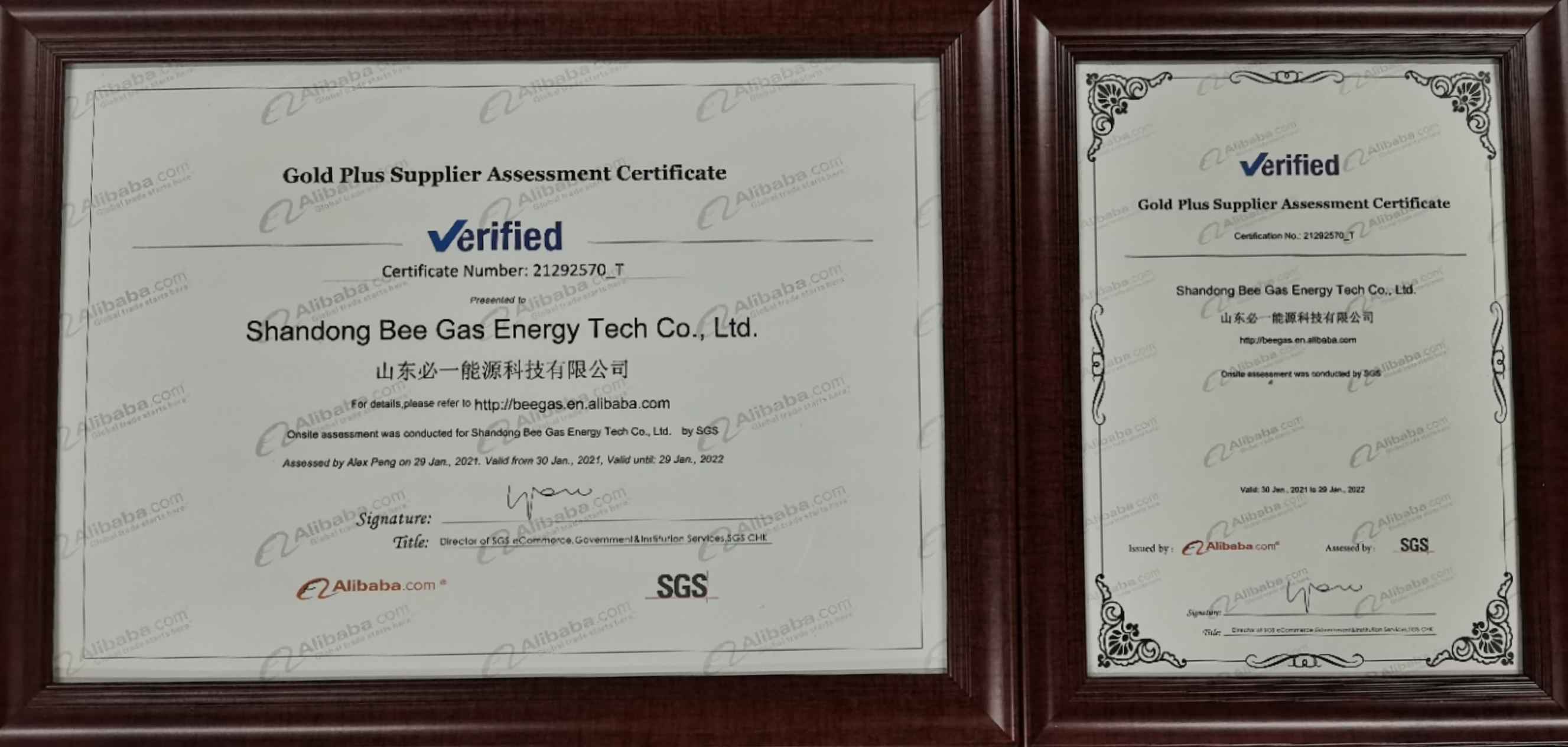 BEEGAS SGS Certificate
